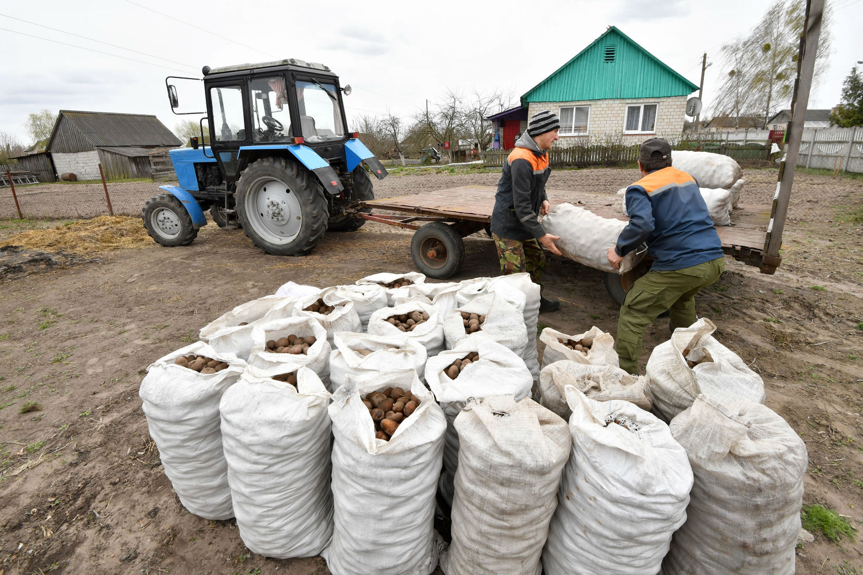 Таму што гэта прыгожа: на беларускім Палессі ўжо садзяць бульбу