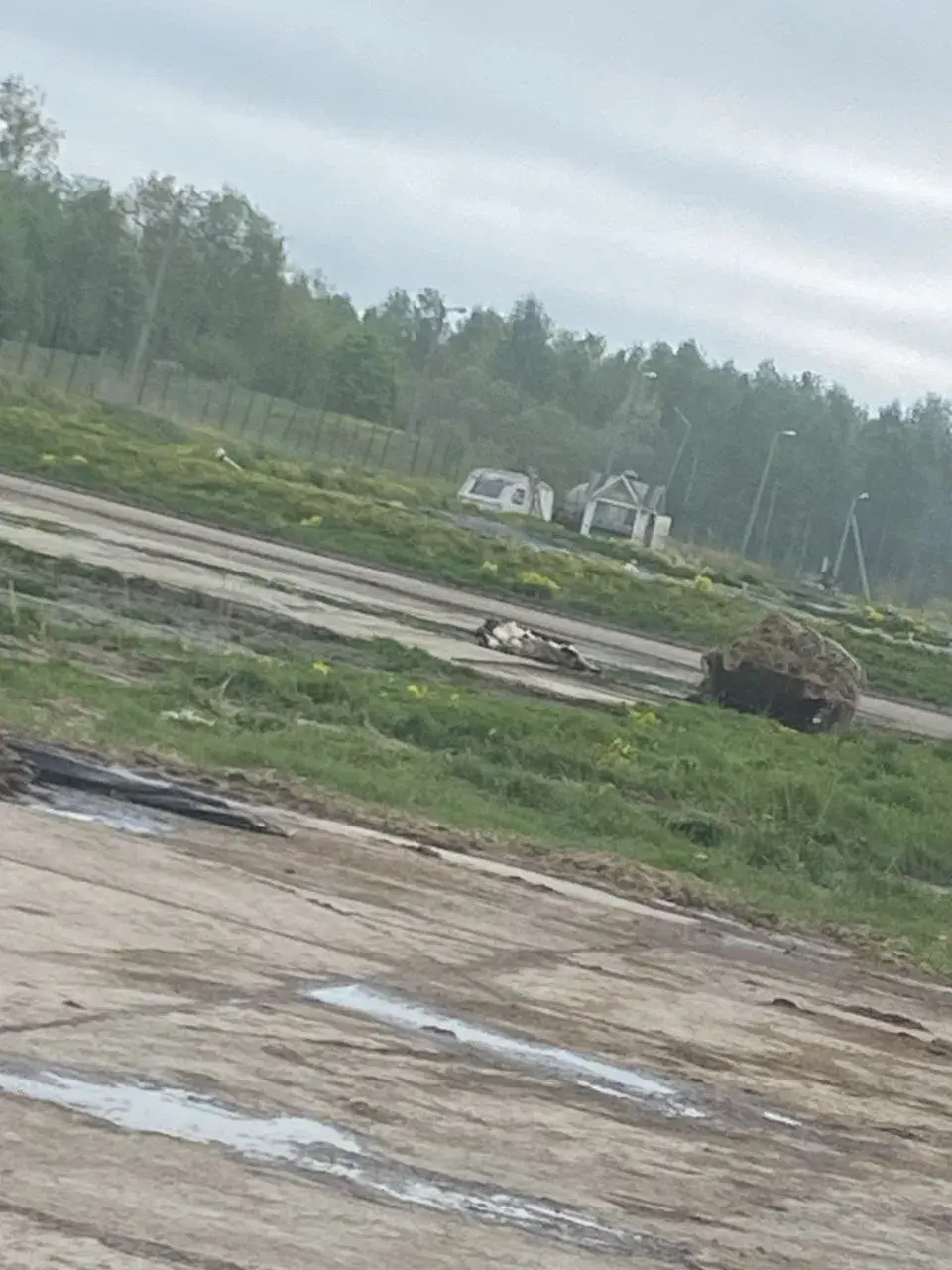 У Гарадоцкім раёне мёртвую жывёлу скідаюць проста ў палях 