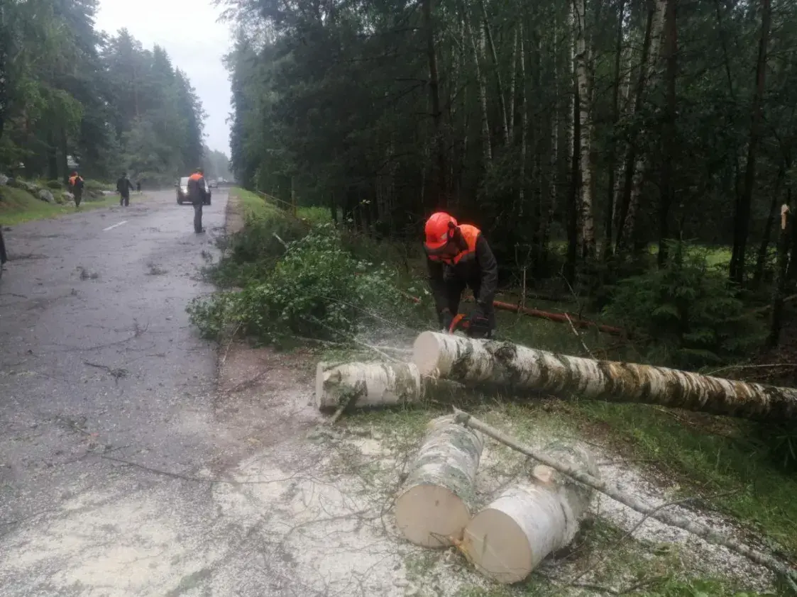 Аварыйныя адключэнні электраэнергіі адбыліся ў Віцебскай вобласці