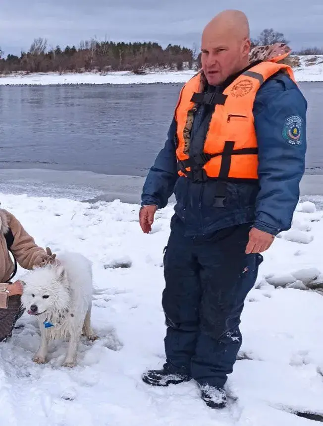 У Мазыры на Прыпяці сёння ратавалі сабаку