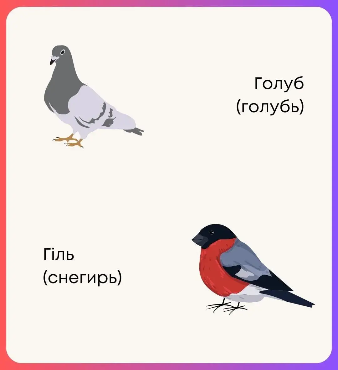 Названия птиц на мове