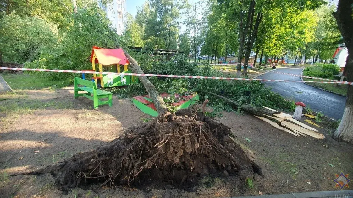 Сотні паваленых дрэваў і разбураны цялятнік — МНС расказала пра панядзелкавую навальніцу