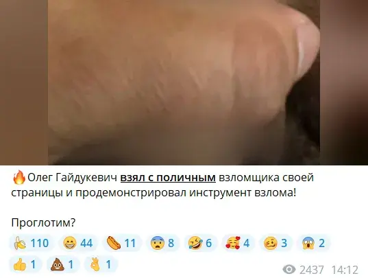 Дикпик Гайдукевича