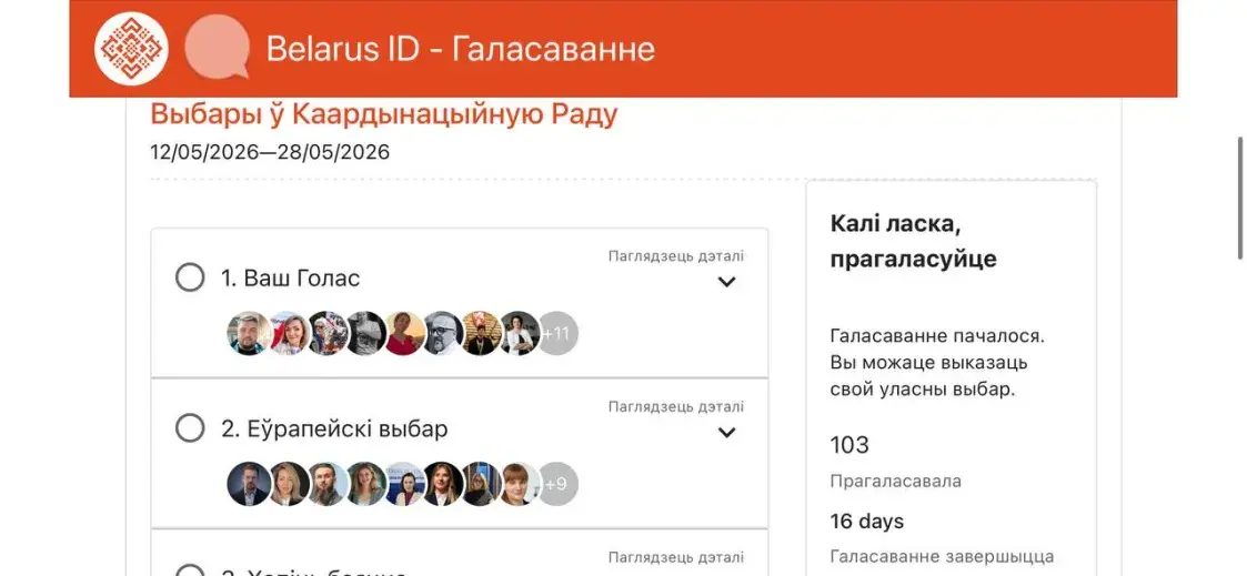 Как я голосовал на выборах в КС 4-го созыва. Личный опыт