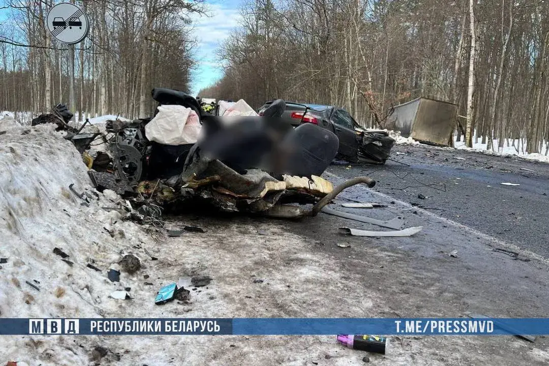 Маці з 10-гадовым сынам загінулі ў аварыі пад Рэчыцай