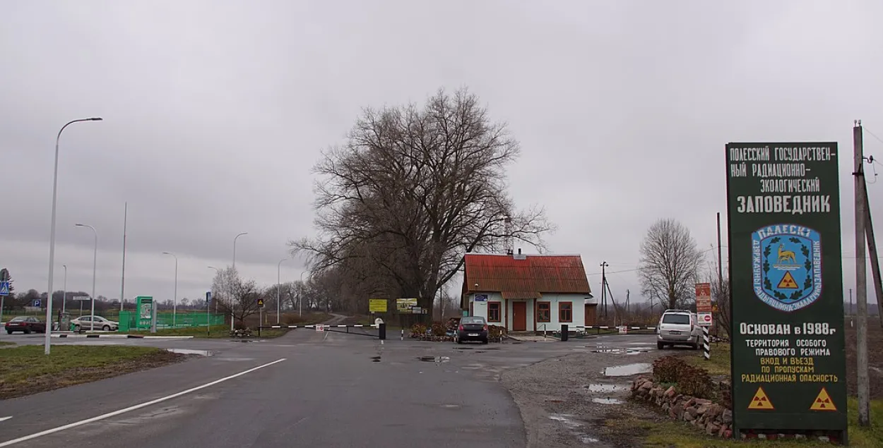 Палескі запаведнік / wikimedia