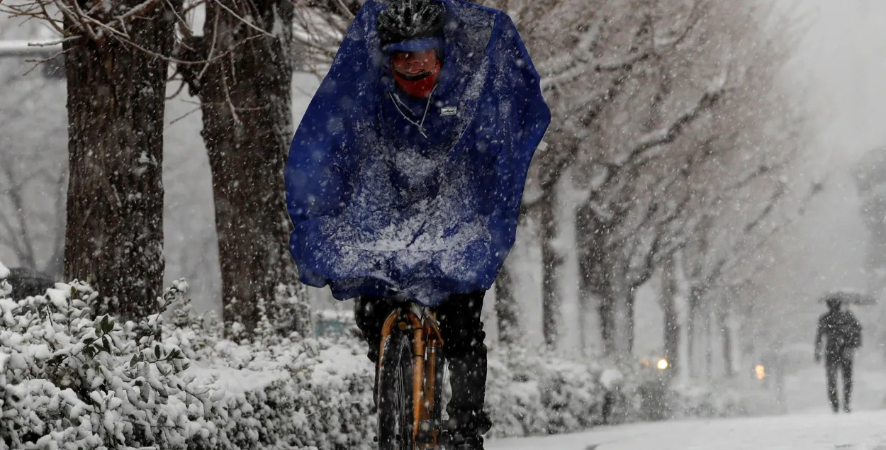 Фото: Reuters
