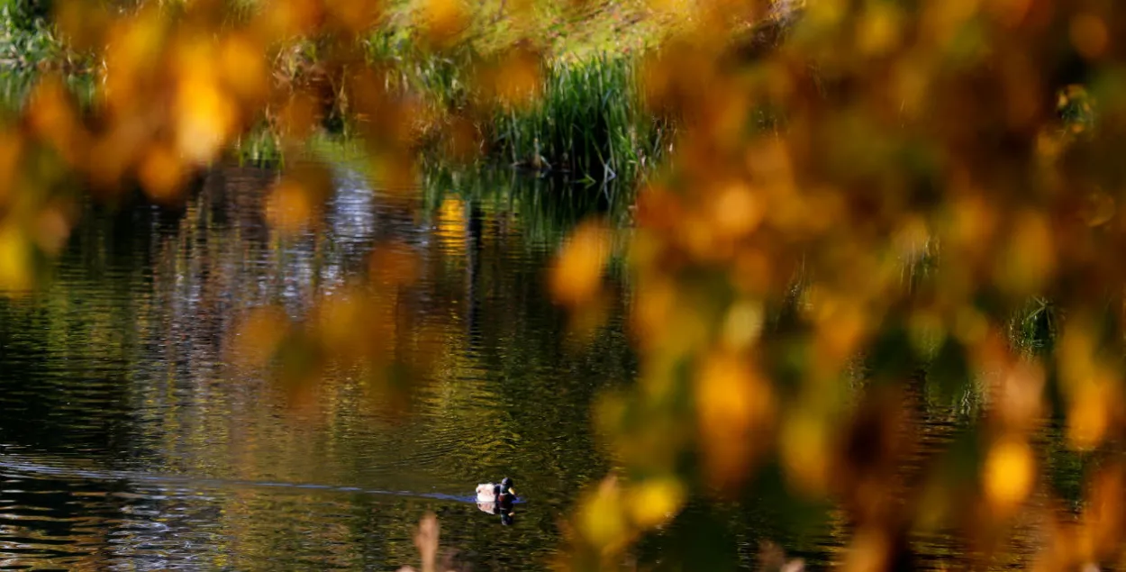 Фото: Reuters