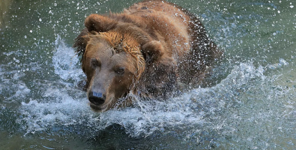 Reuters