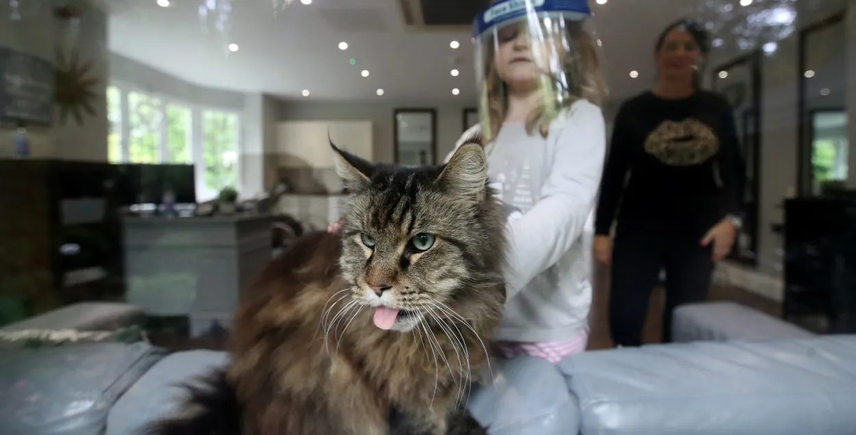 Даследаванне: у кожнага дзясятага пасля каранавіруса нюх не вярнуўся