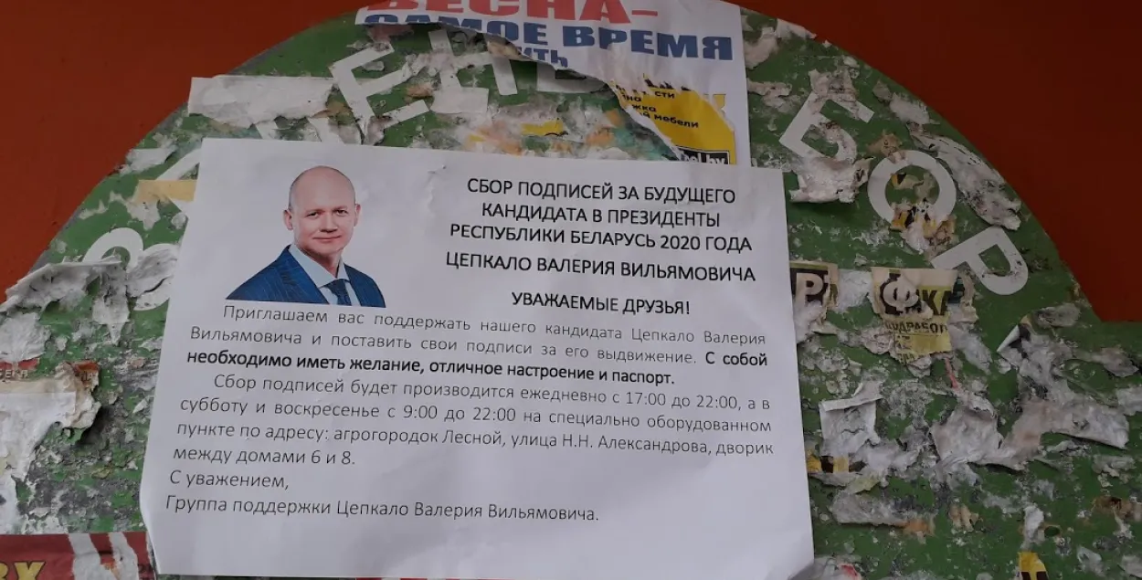 В Гомеле избирательная комиссия забраковала подписи за Бабарико и Цепкало