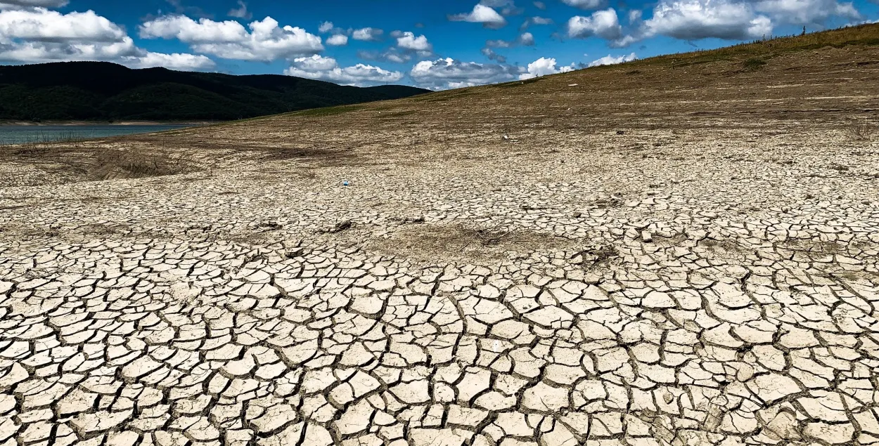Грузия, Сионское водохранилище, август 2019 /&nbsp;&nbsp;Диана Петриашвили /&nbsp;"Медиасеть"
