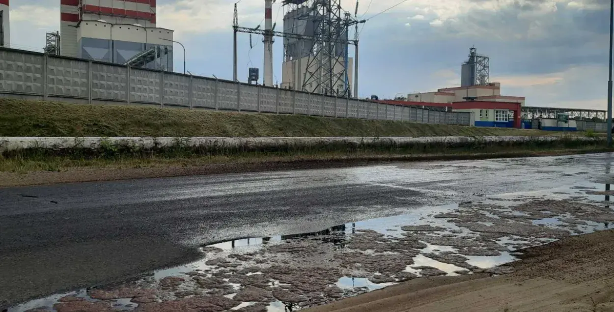 Возле Светлогорского целлюлозно-картонного комбината / t.me/ranak_me/
