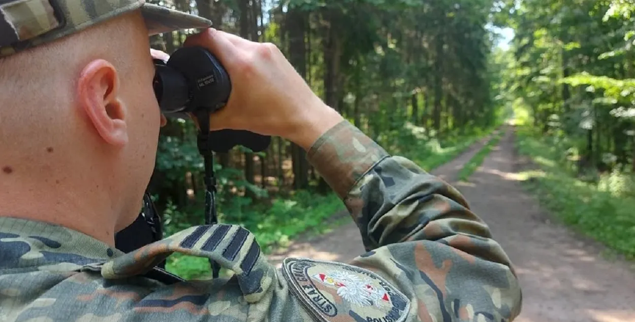 Польскі памежнік сочыць за лесам / https://twitter.com/Straz_Graniczna
