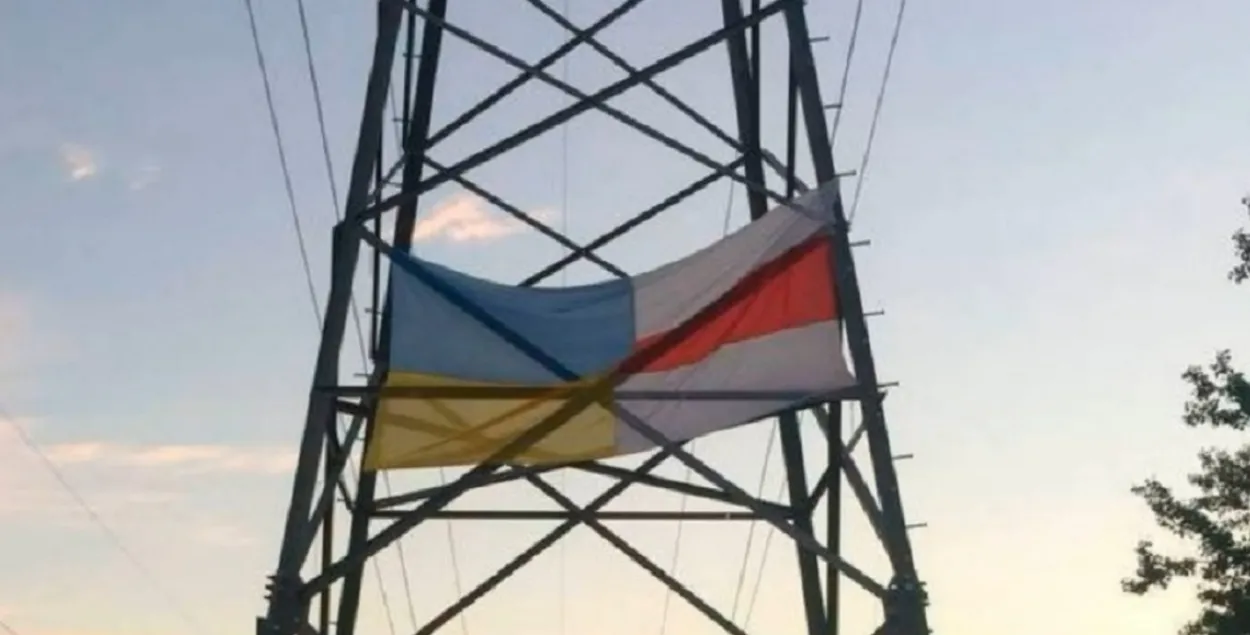 Сцяг на апоры лініі электраперадач / Скрыншот з відэа МУС

