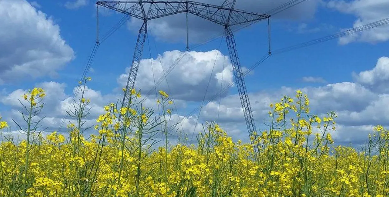 Фото Даши Радьковской, www.bbc.com