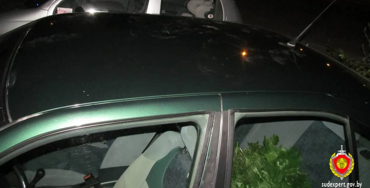 П'яная мінчанка зладзіла танцы на дахах чужых аўто