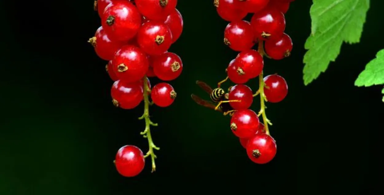 Photo: pixabay.com