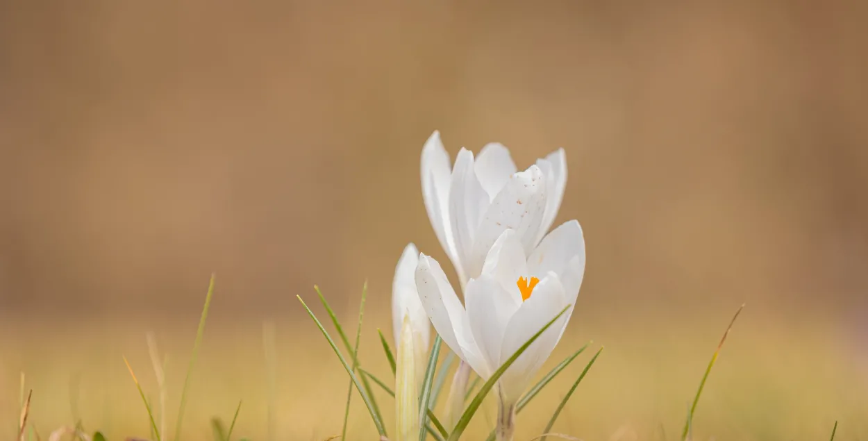 Якім будзе надвор'е? / pixabay