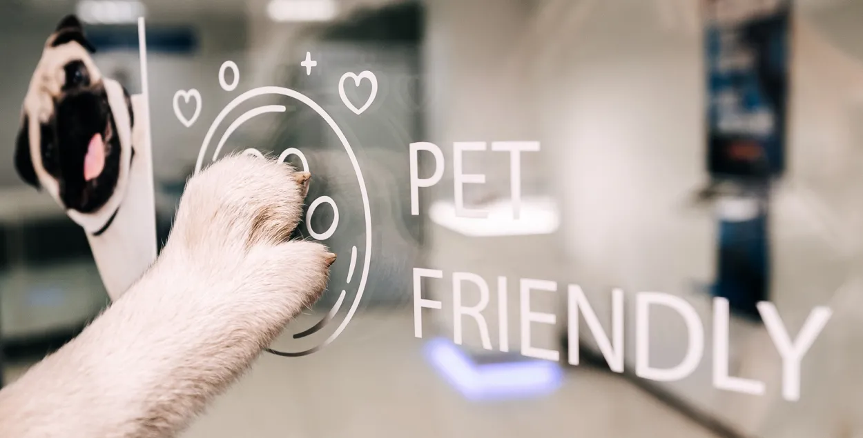 Несколько отделений МТБанка стали pet-friendly