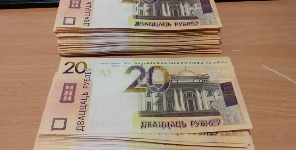 Фальшываманетчыкі друкавалі грошы на лецішчы пад Мінскам 