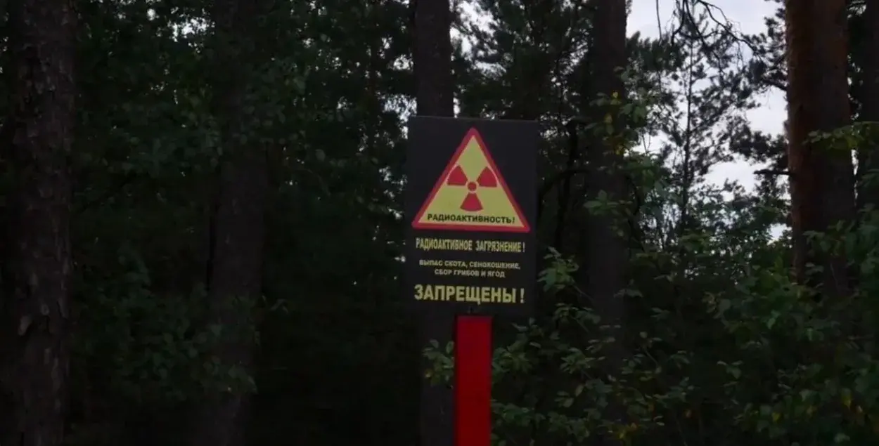 Рашэнне рабіць прасекі ў радыеактыўным запаведніку выглядае вельмі дзіўна / obzoor.by