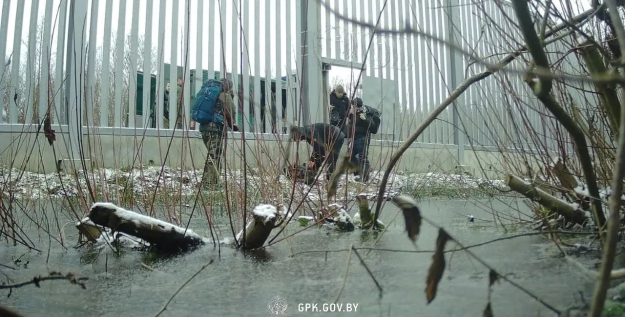 В ГПК РБ говорят, что польские службы периодически вытесняют мигрантов в Беларусь / иллюстративное фото @gpkgovby

