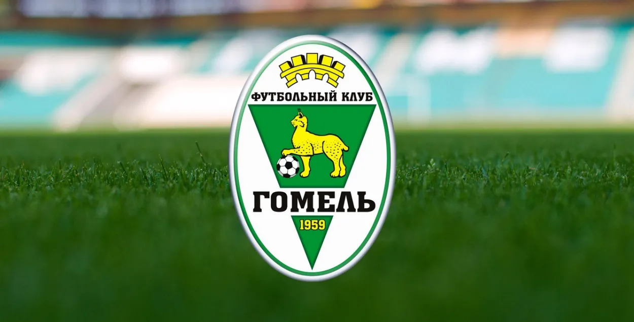 Эмблема футбольного клуба "Гомель"

