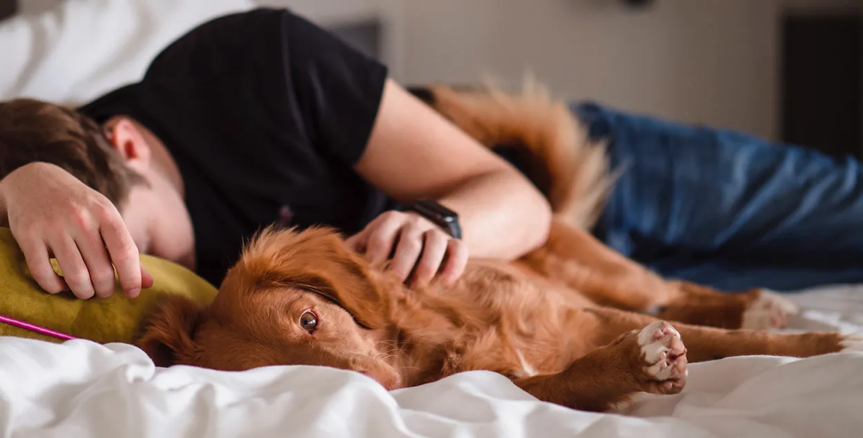 Кароткі дзённы сон можа палепшыць вашае жыццё, кажуць навукоўцы / Unsplash
