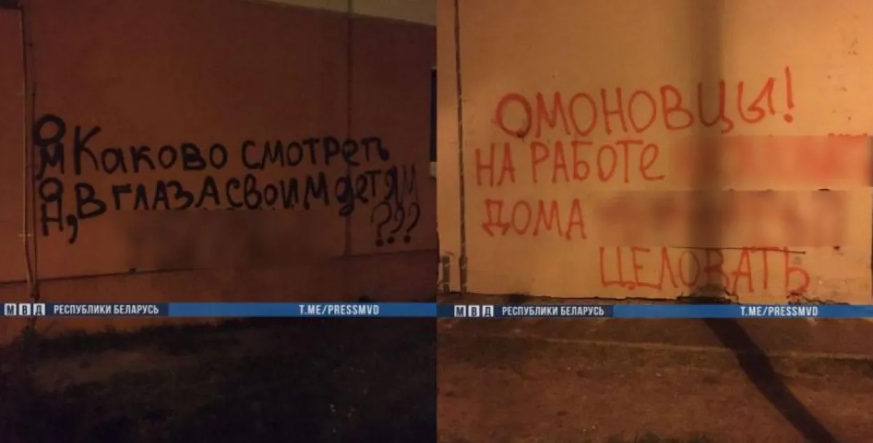 "Цынічныя надпісы", за якія аштрафавалі на 5400 рублёў / прэс-служба МУС​