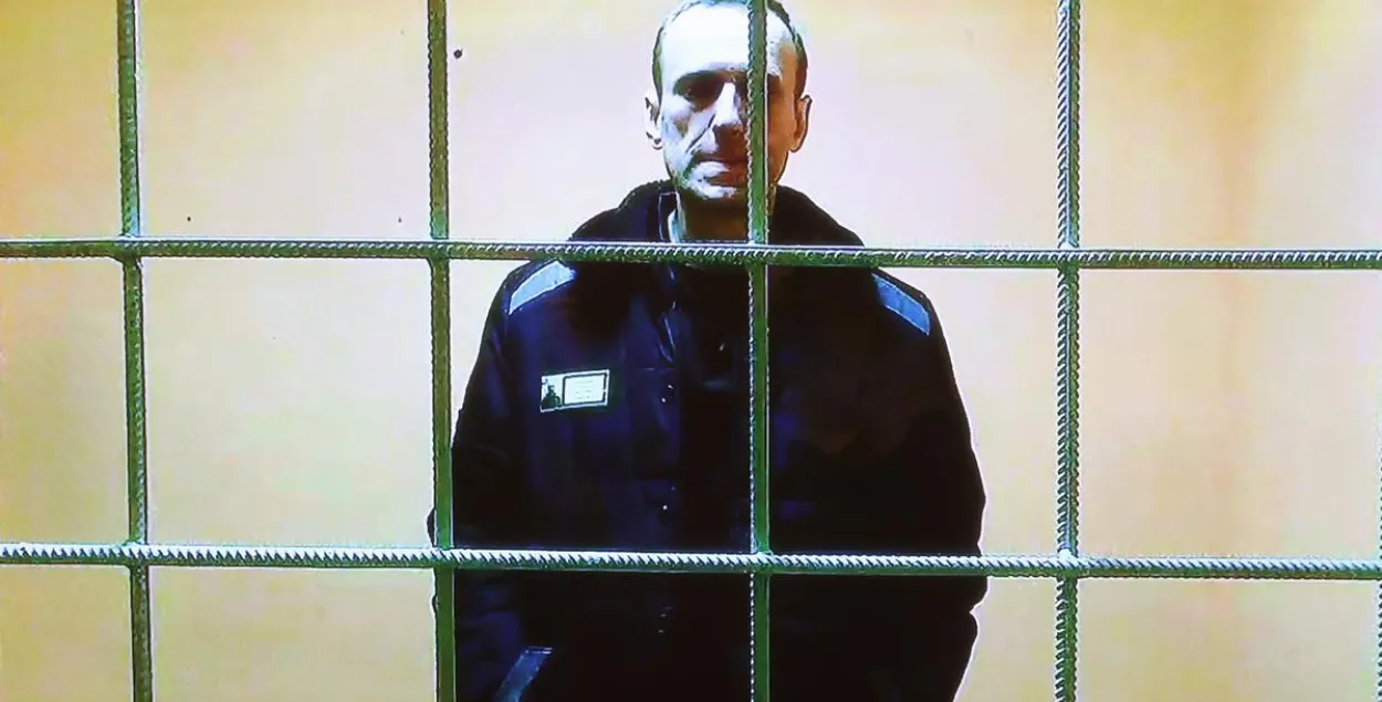 Алексей Навальный / ТАСС
