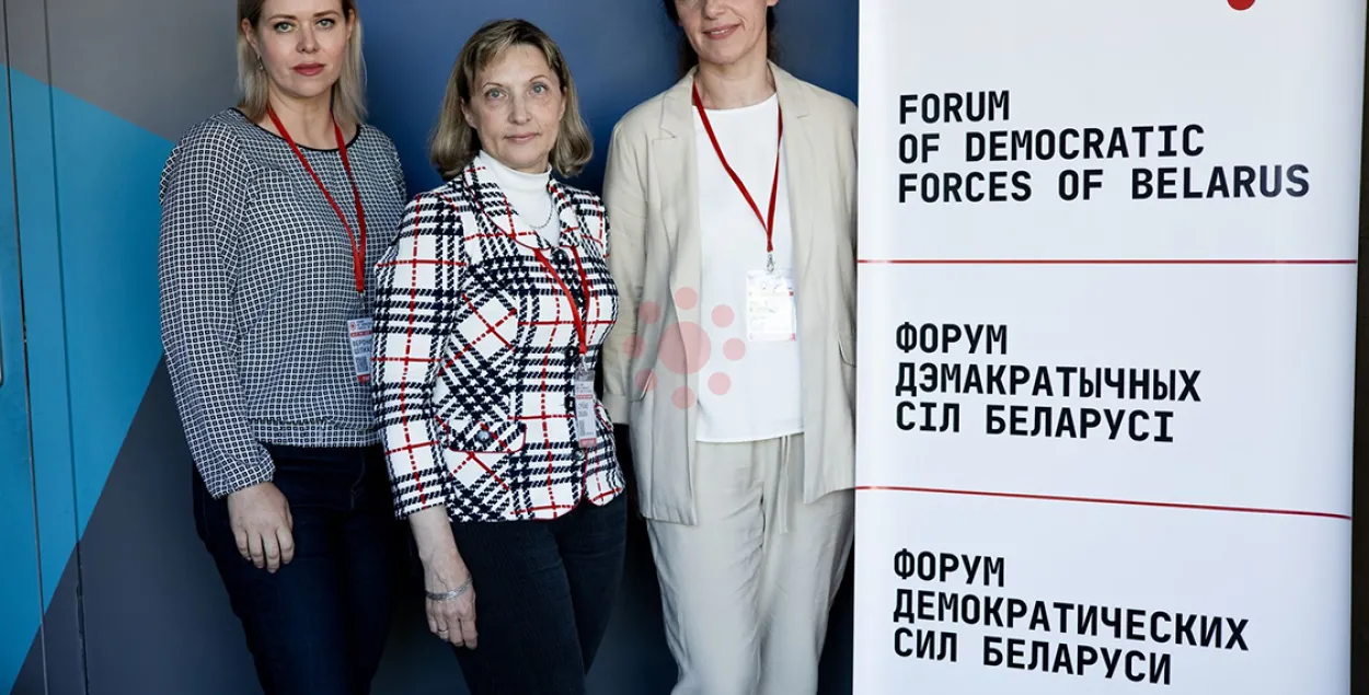 Удзельніцы Форуму дэмакратычных сіл​ /&nbsp;belarusforum.org