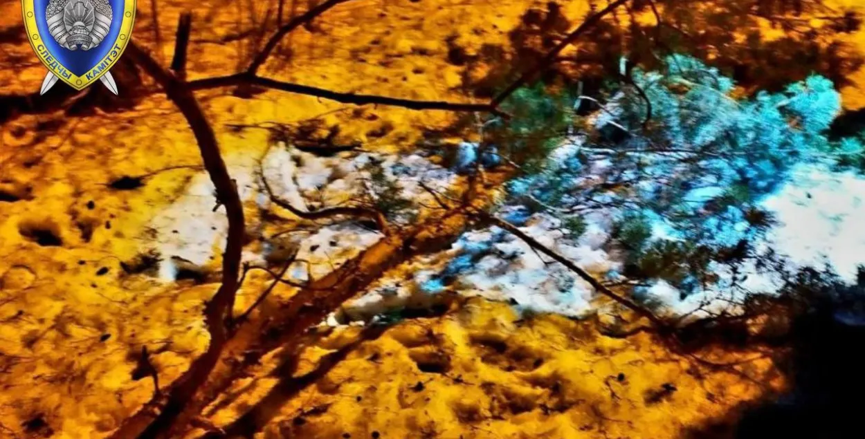 Мінскага падлетка пакалечыў сук дрэва / t.me/skgovby
