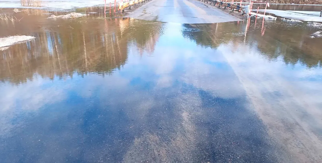 Рэкі ва Усходняй Беларусі выходзяць з берагоў / mogilev.mchs.gov.by
