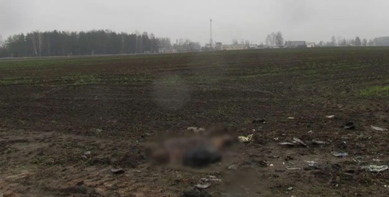 Голы памерлы мужчына знойдзены ў полі ў Светлагорскім раёне 