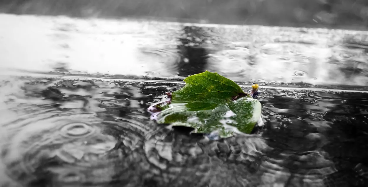Дажджлівы травень / pixabay.com

