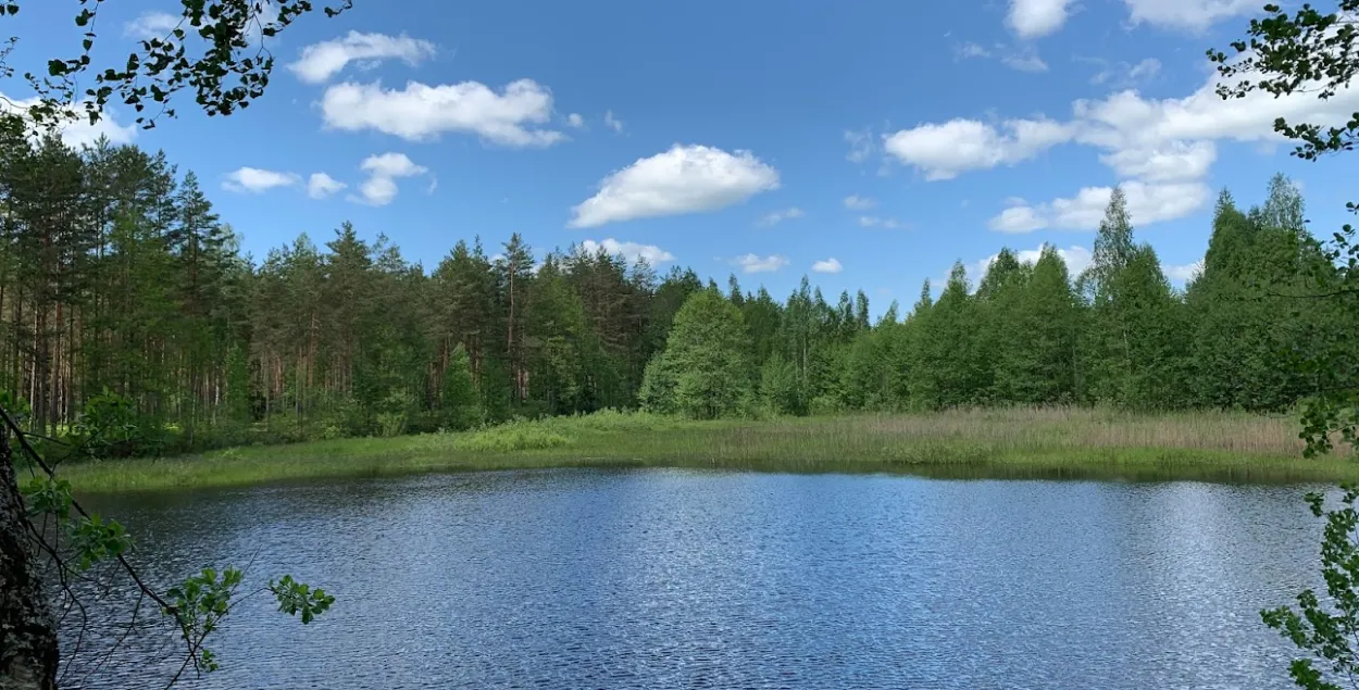 Жара
