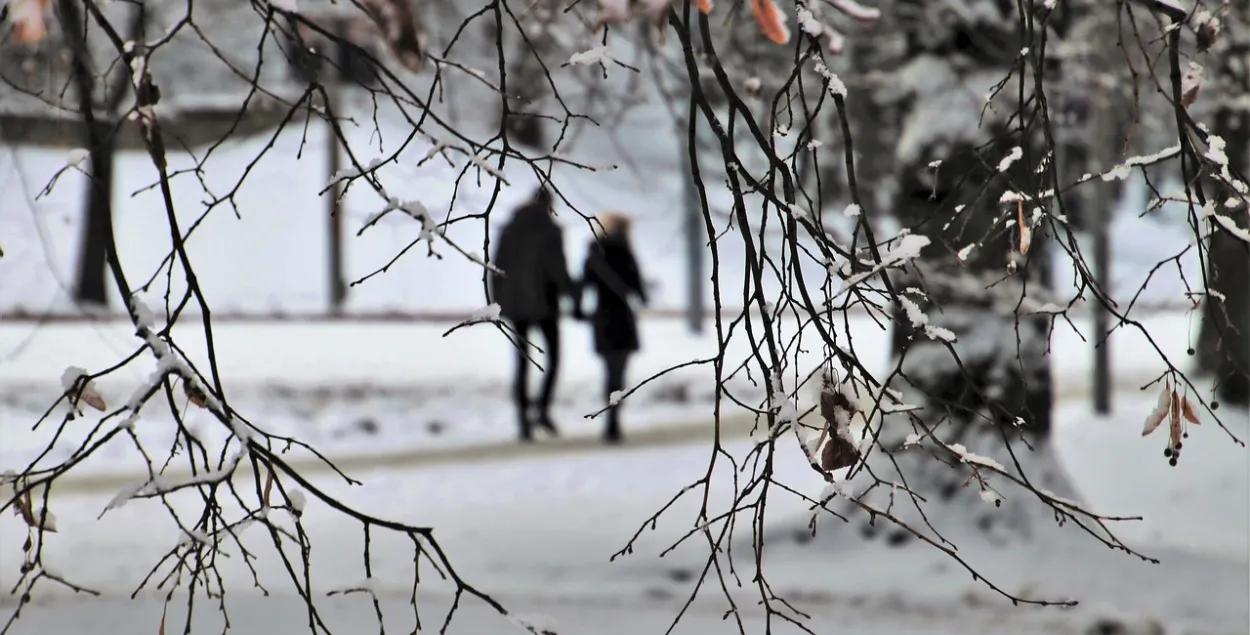 В последний день зимы будет ветрено / pixabay.com
