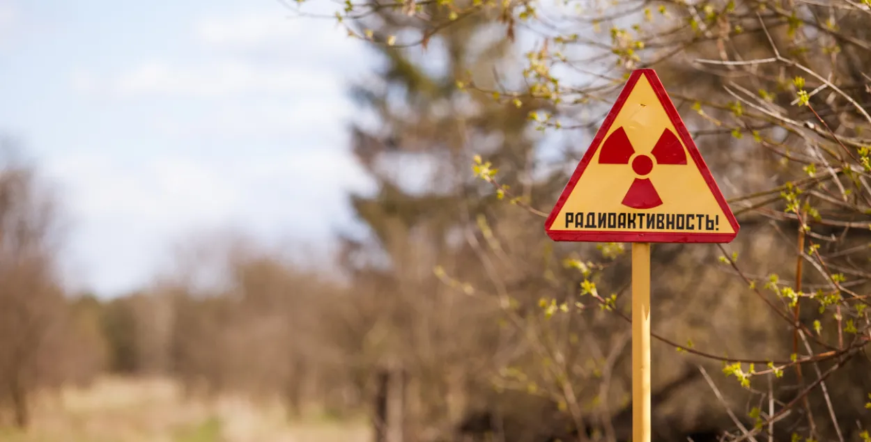 Лукашэнка скасаваў ахоўную зону Палескага радыяцыйна-экалагічнага запаведніка