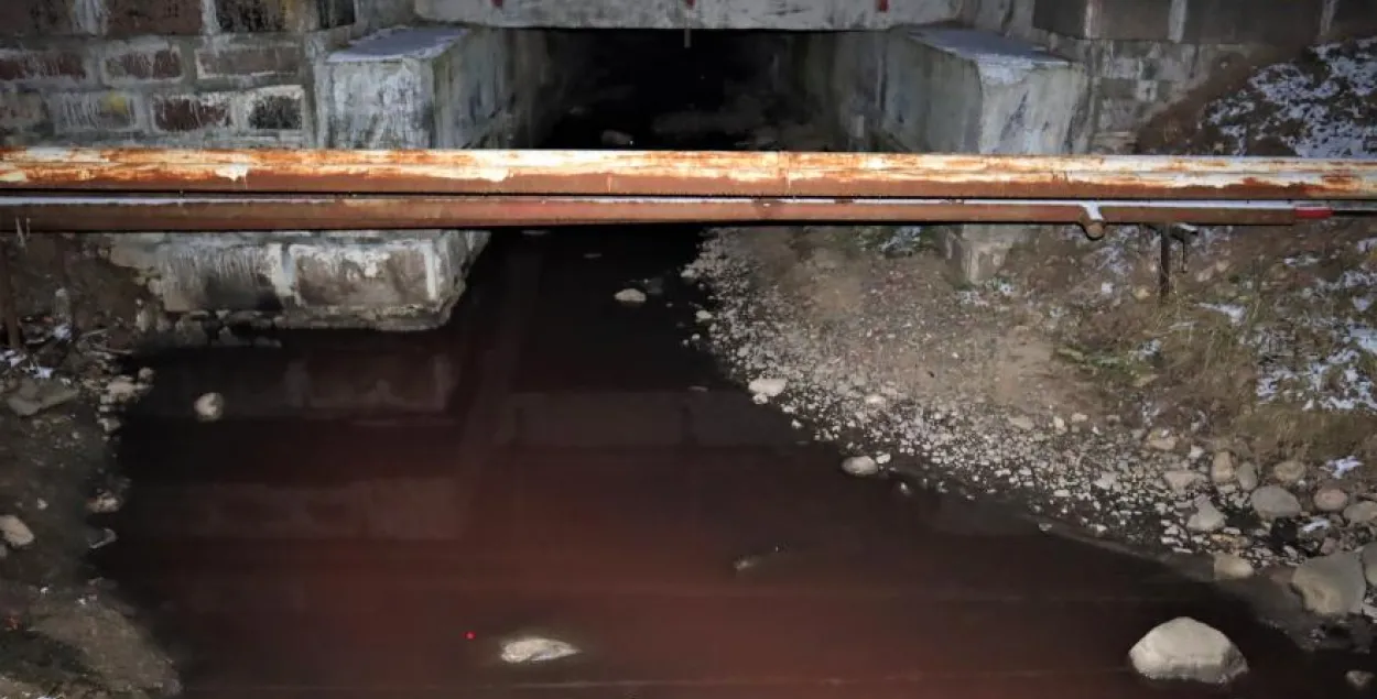 В Молодечно "покраснела" вода / kraj.by

