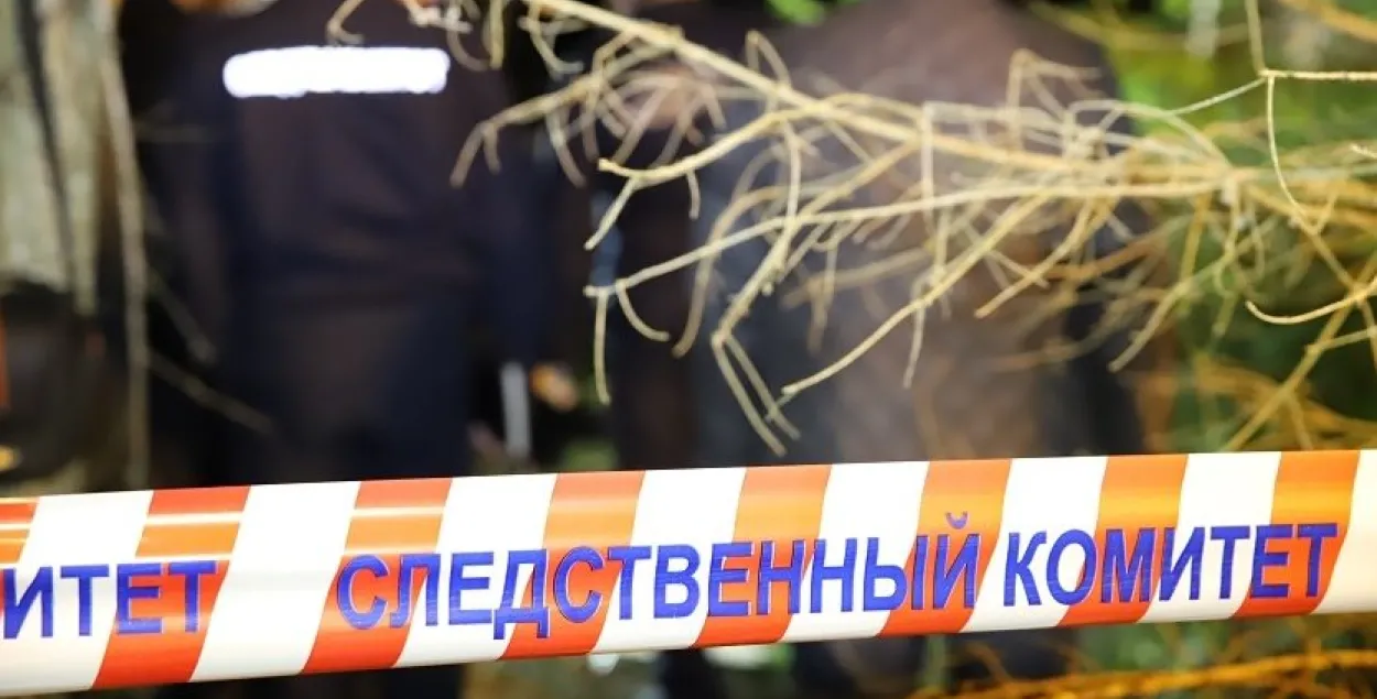 Иллюстративное фото&nbsp;/ sk.gov.by