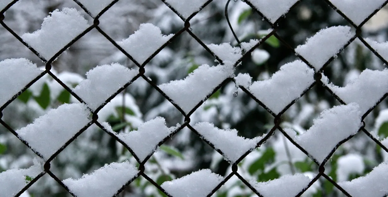 Осадки и метель / pixabay.com
