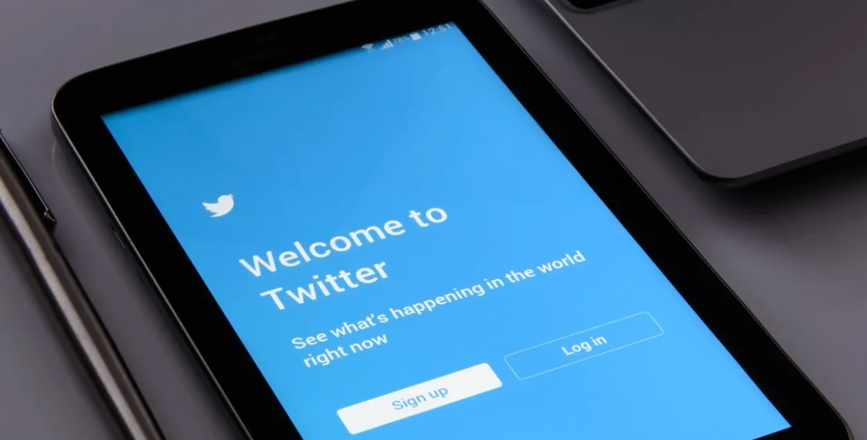 Минувшей осенью владельцем Twitter стал бизнесмен Илон Маск /&nbsp;pixabay.com
