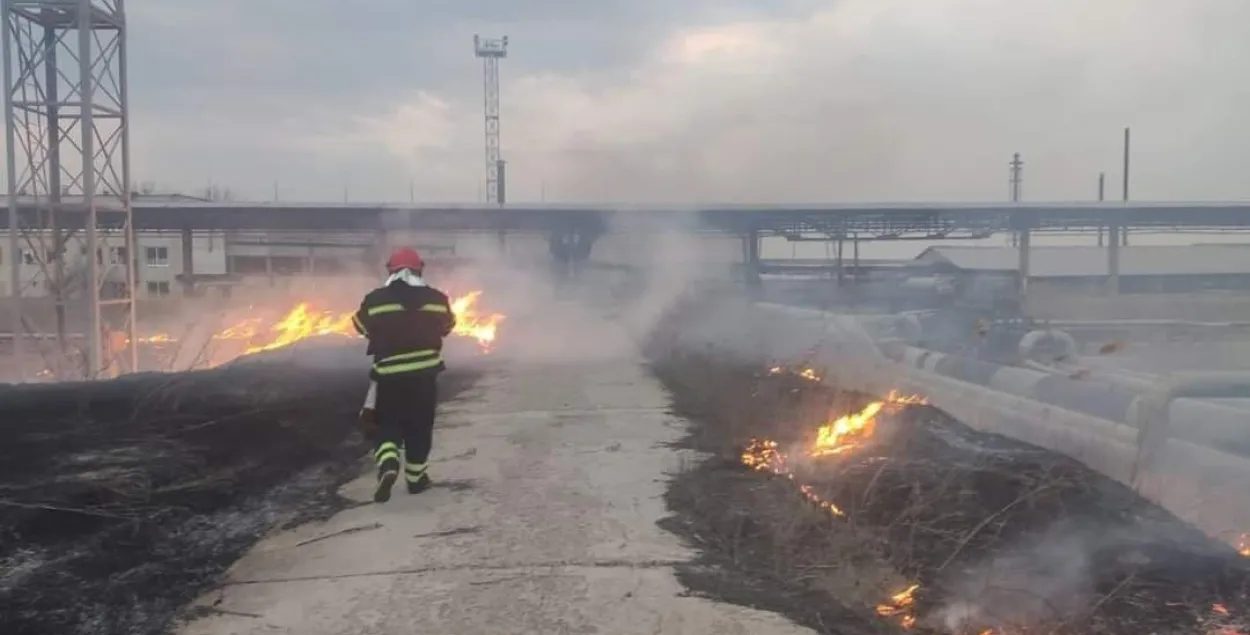 Обстрелы Луганской области и подготовка референдума в Херсоне — 36-е утро войны