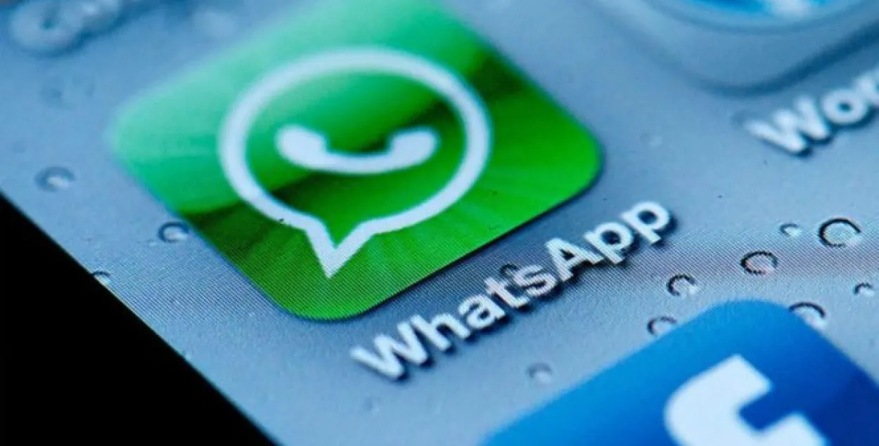 Фото:&nbsp;WhatsApp