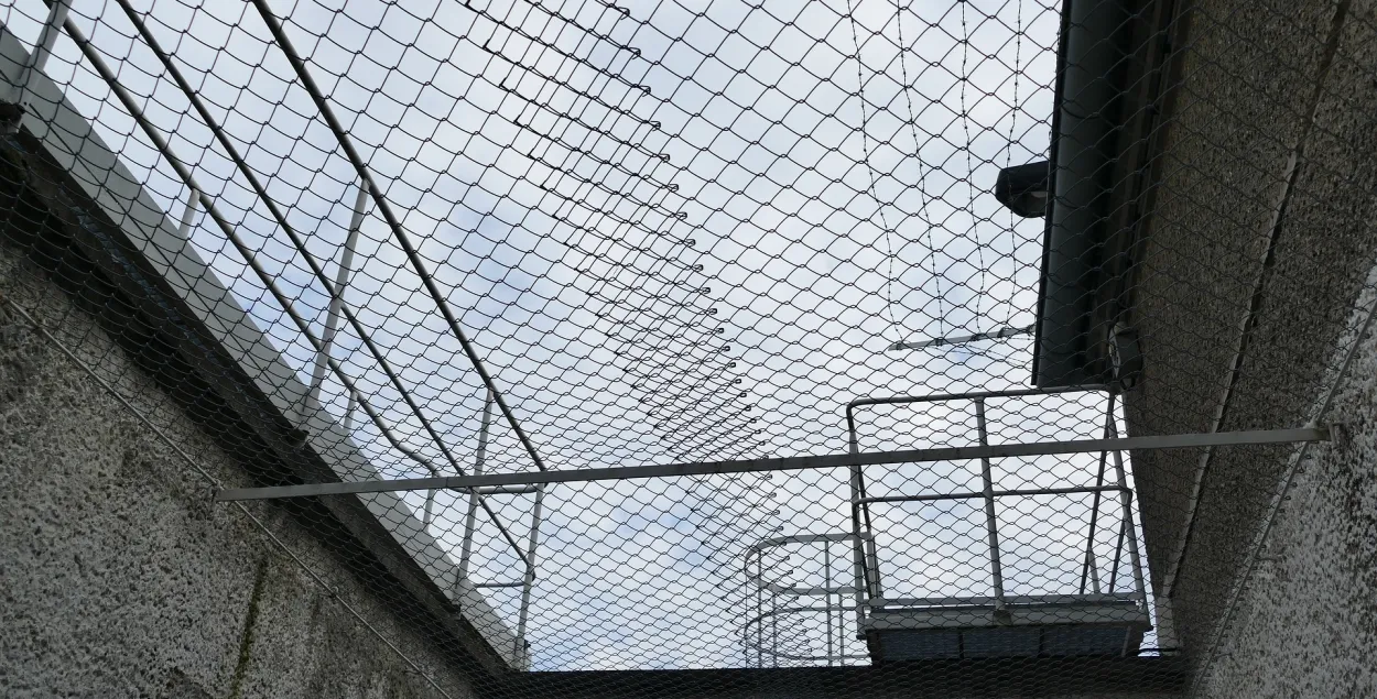 Мужчину задержали за подписку на "деструктивные" каналы и "оскорбительные" комментарии / иллюстративное фото&nbsp;pixabay.com
