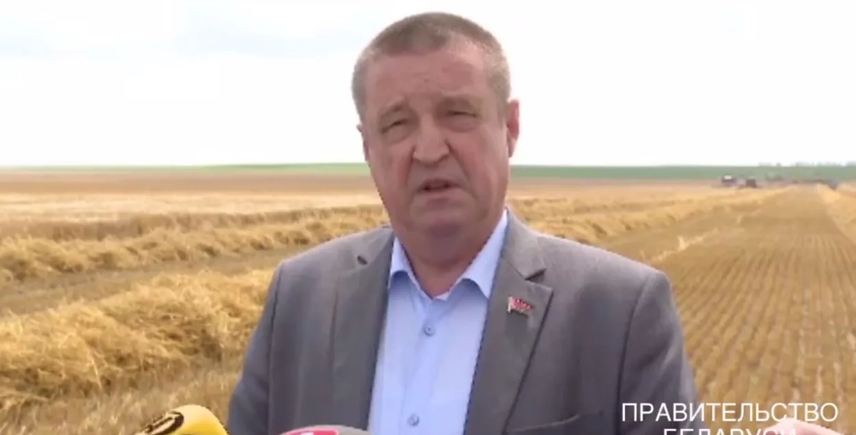 Віцэ-прэм'ер Леанід Заяц у полі
