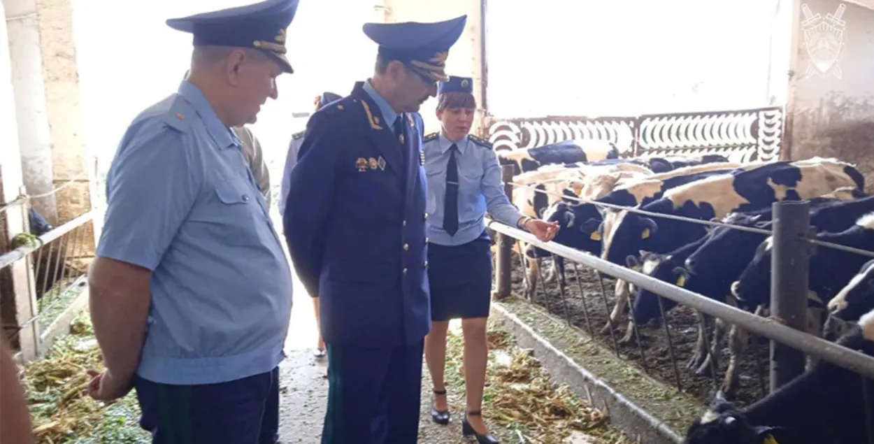 Deputy Prosecutor General Stuk visits a cowshed / Press service of the Prosecutor General's Office
