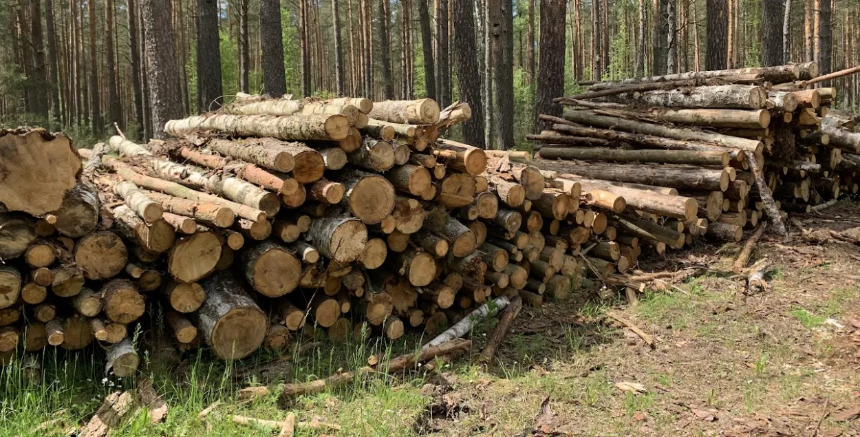 Belarus exports furniture to the EU / Eurabdyeu