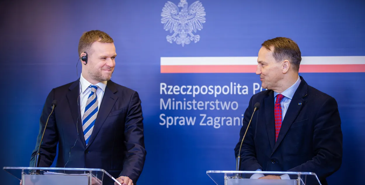 Габриэлюс Ландсбергис и Радослав Сикорский
